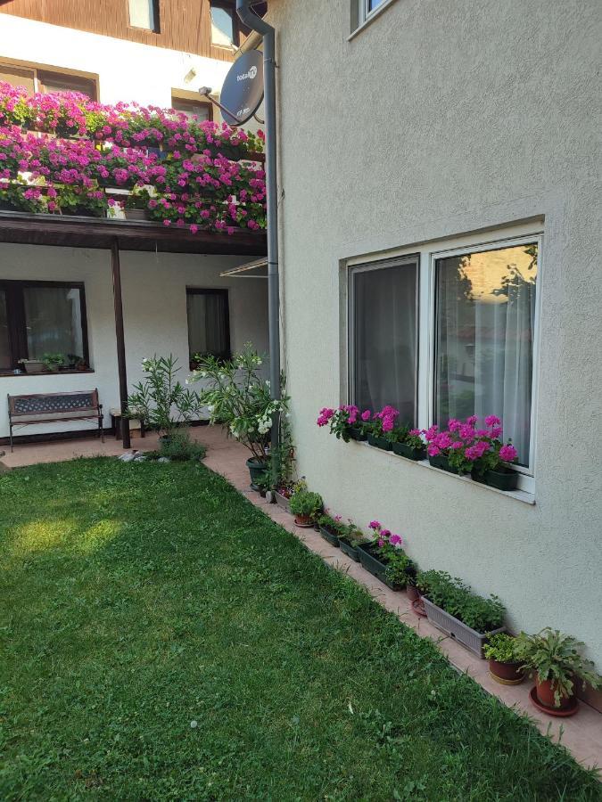 Apartman Mitic Pozarevac Exterior photo
